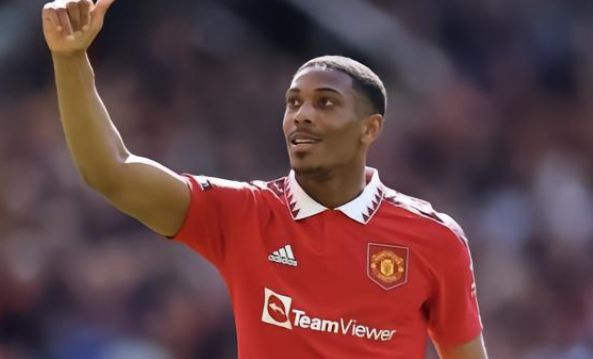 琳琅满目的 琳琅满目的