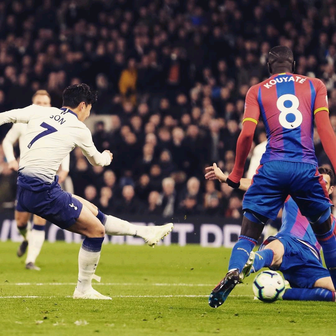 老球迷也只 老球迷也只