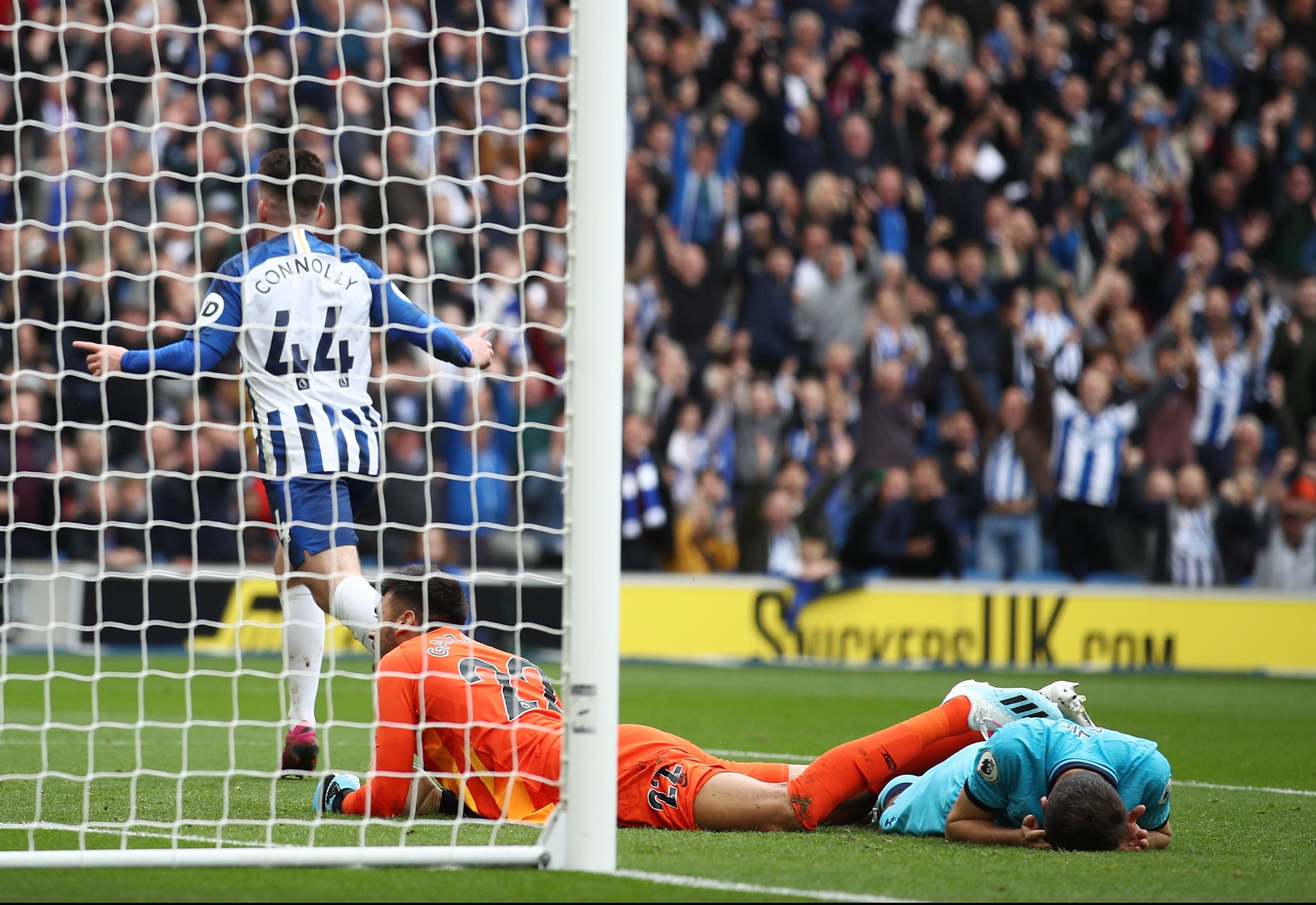 性是他们选 性是他们选